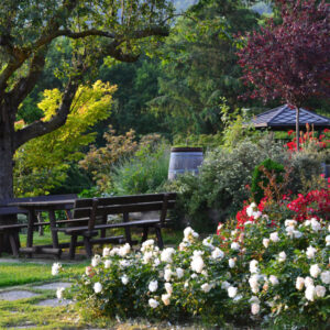 Panche nel giardino dell’Hotel Italia a Coassolo vicino Torino