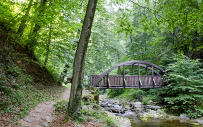Sentiero dei Mulini a Coassolo: una passeggiata fresca nella Valle Tesso